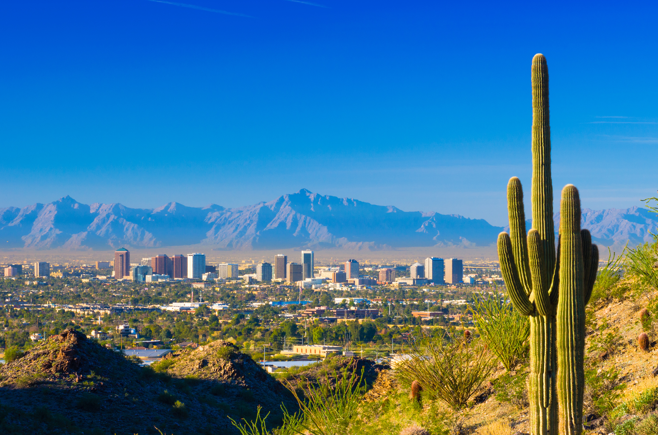 Pheonix Arizona