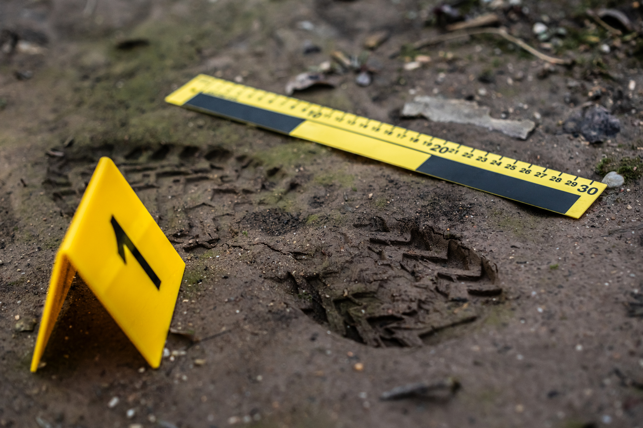 image of a crime scene